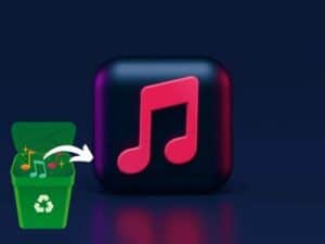 Tips to restore Deleted Music